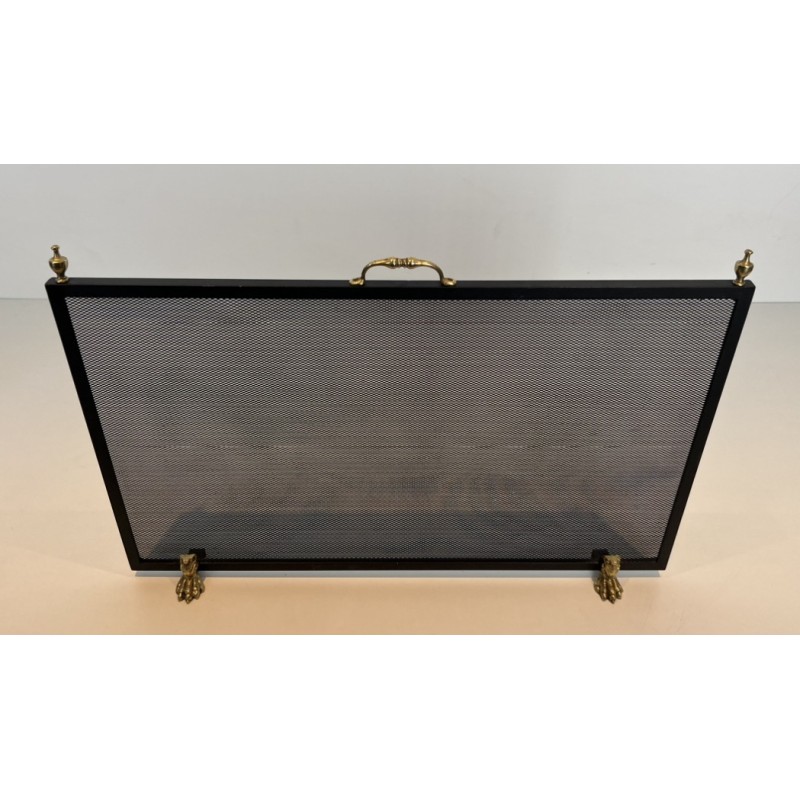 Neoclassical Steel, Brass and Wire Mesh Fireplace Screen with Bronze Claw Feet, French Work, circa 1940