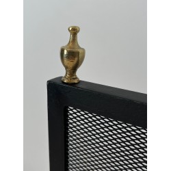 Neoclassical Steel, Brass and Wire Mesh Fireplace Screen with Bronze Claw Feet, French Work, circa 1940
