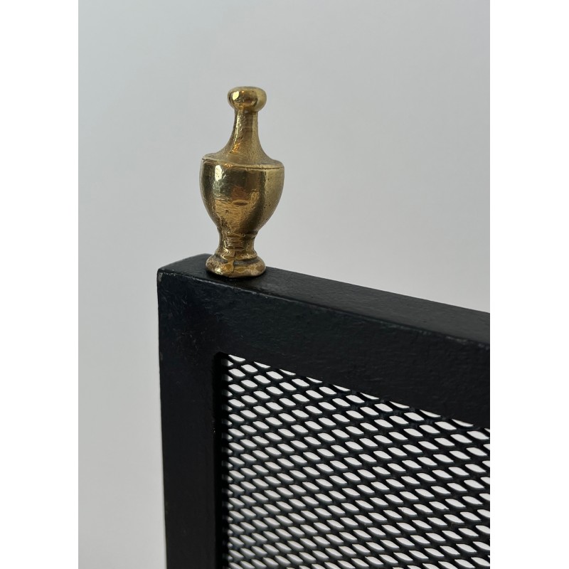 Neoclassical Steel, Brass and Wire Mesh Fireplace Screen with Bronze Claw Feet, French Work, circa 1940