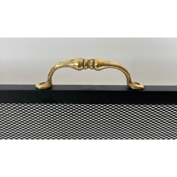 Neoclassical Steel, Brass and Wire Mesh Fireplace Screen with Bronze Claw Feet, French Work, circa 1940