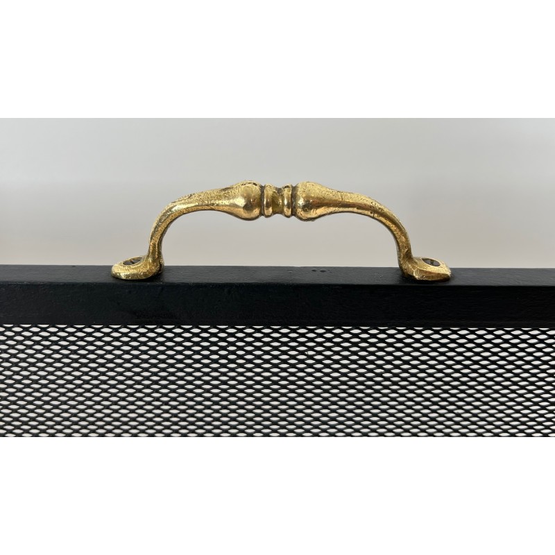 Neoclassical Steel, Brass and Wire Mesh Fireplace Screen with Bronze Claw Feet, French Work, circa 1940