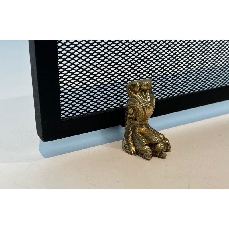 Neoclassical Steel, Brass and Wire Mesh Fireplace Screen with Bronze Claw Feet, French Work, circa 1940