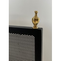 Neoclassical Steel, Brass and Wire Mesh Fireplace Screen with Bronze Claw Feet, French Work, circa 1940