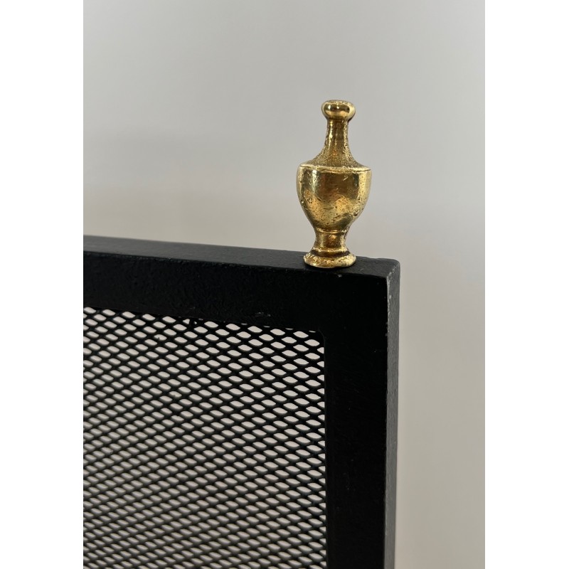 Neoclassical Steel, Brass and Wire Mesh Fireplace Screen with Bronze Claw Feet, French Work, circa 1940