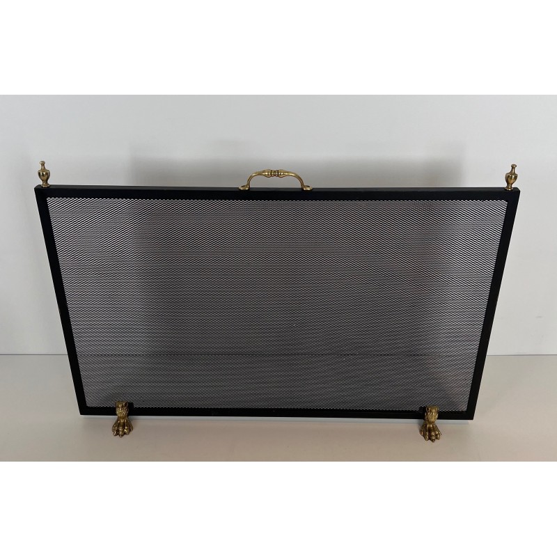 Neoclassical Steel, Brass and Wire Mesh Fireplace Screen with Bronze Claw Feet, French Work, circa 1940