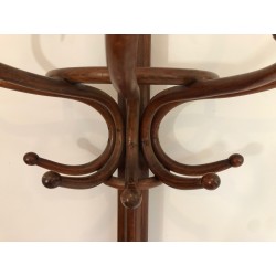 Half-Moon Parrot Coat Hanger