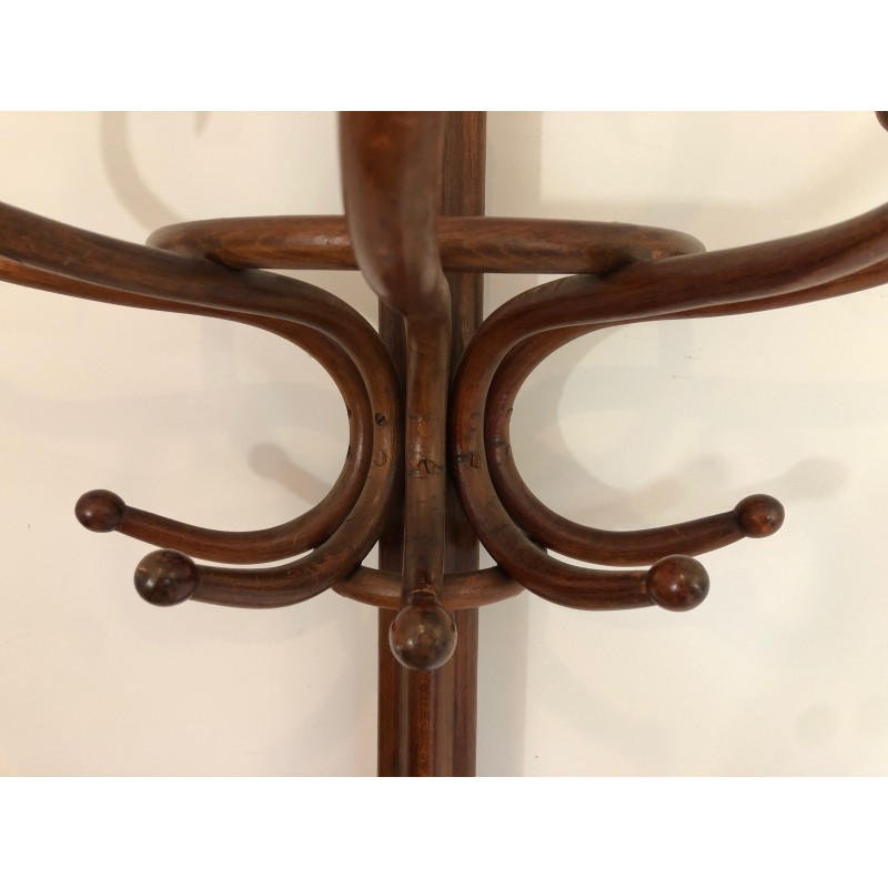 Half-Moon Parrot Coat Hanger