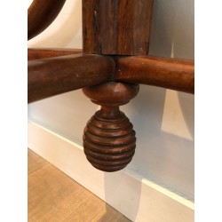 Half-Moon Parrot Coat Hanger