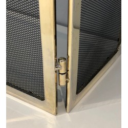 Chrome and Grilling Fireplace Screen