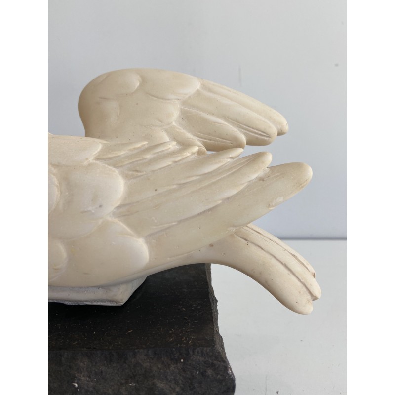 Carrara Marble Sculpture of a Dove on Stone Base, Signed Del Torionne, Italian Work, Circa 1950