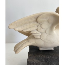 Carrara Marble Sculpture of a Dove on Stone Base, Signed Del Torionne, Italian Work, Circa 1950