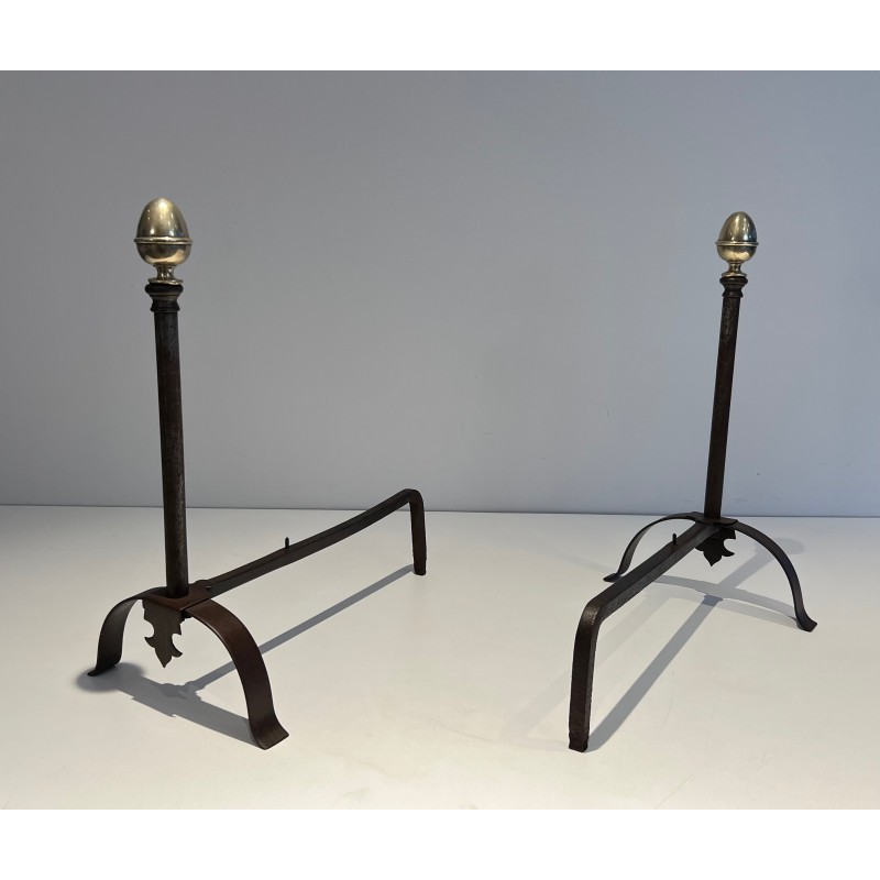 Pair of Wrought Iron and Brass Andirons, French Work, 19th Century