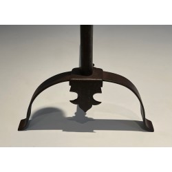 Pair of Wrought Iron and Brass Andirons, French Work, 19th Century