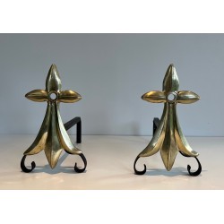 Pair of Art Nouveau Ermine-Motif Bronze and Wrought Iron Andirons, Signed MR, French Work, Circa 1900