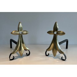 Pair of Art Nouveau Ermine-Motif Bronze and Wrought Iron Andirons, Signed MR, French Work, Circa 1900