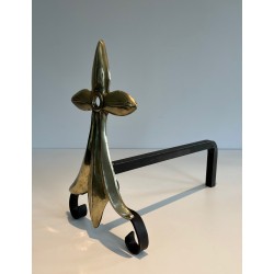 Pair of Art Nouveau Ermine-Motif Bronze and Wrought Iron Andirons, Signed MR, French Work, Circa 1900