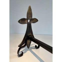 Pair of Art Nouveau Ermine-Motif Bronze and Wrought Iron Andirons, Signed MR, French Work, Circa 1900