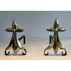 Paire de Chenets Art Nouveau en Bronze et Fer Forgé à Motif d'Hermine, Signés MR, Travail Français, Vers 1900