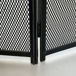 Neoclassical Steel, Brass and Mesh Fireplace Screen with Bronze Pine Cones, French Work, circa 1940