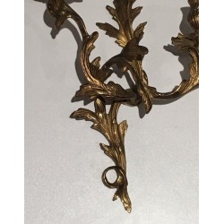 Paire d'Appliques en Bronze Doré de Style Louis XV