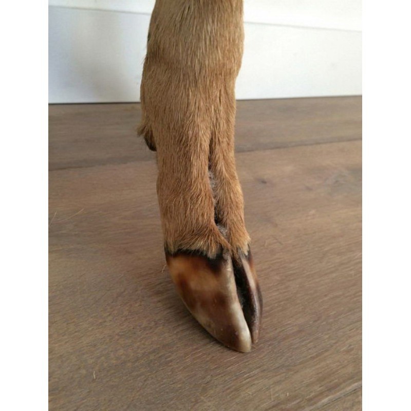 Tabouret en Peau et Pieds de Biche Vers 1970 | Maison BARROIS