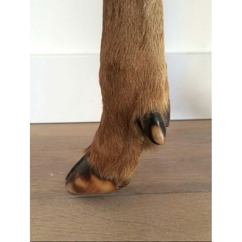 Hide Stool with Hoof Feet Circa 1970 | Maison BARROIS