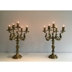 Pair of Bronze Candelabras 5 Light Arms Circa 1900
