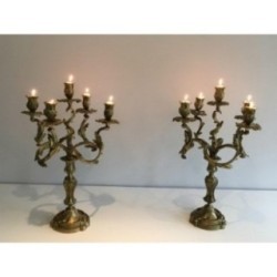 Pair of Bronze Candelabras 5 Light Arms Circa 1900