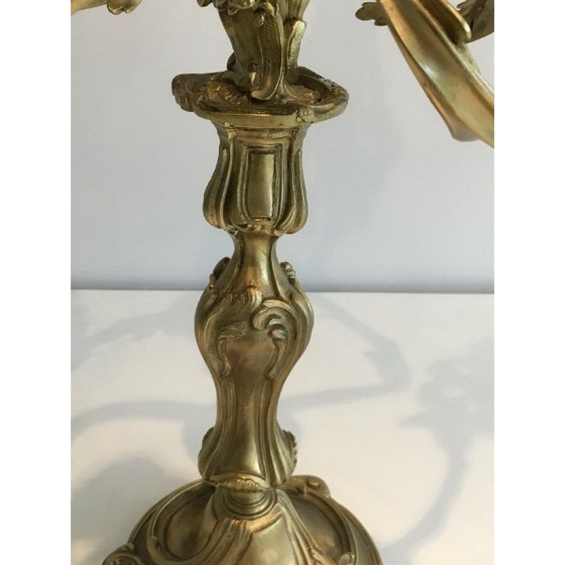 Pair of Bronze Candelabras 5 Light Arms Circa 1900