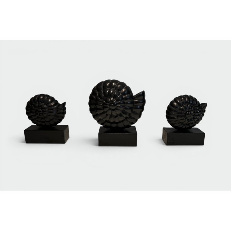 Suite de Trois Nautiles en Bois Sculpté Laqué Noir sur Soc | Maison Barrois