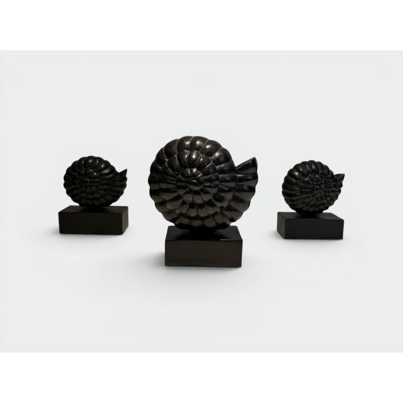 Suite de Trois Nautiles en Bois Sculpté Laqué Noir sur Soc | Maison Barrois