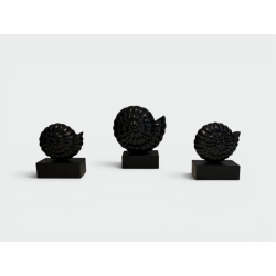 Suite de Trois Nautiles en Bois Sculpté Laqué Noir sur Soc | Maison Barrois