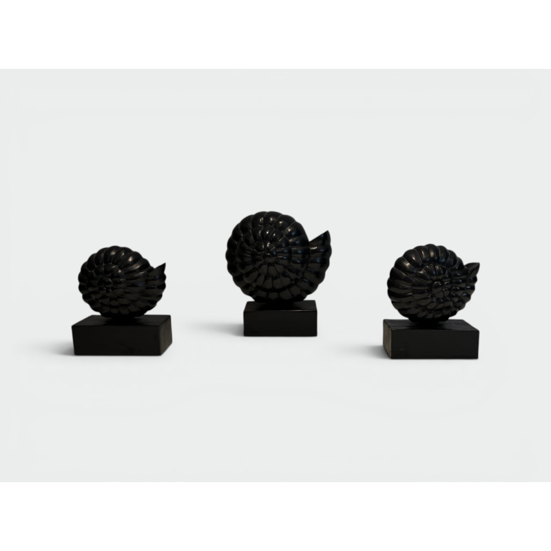 Set of Three Nautilus Shells in Carved Black-Lacquered Woo | Maison Barrois