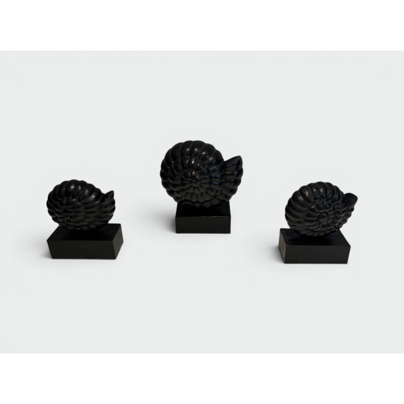 Set of Three Nautilus Shells in Carved Black-Lacquered Woo | Maison Barrois