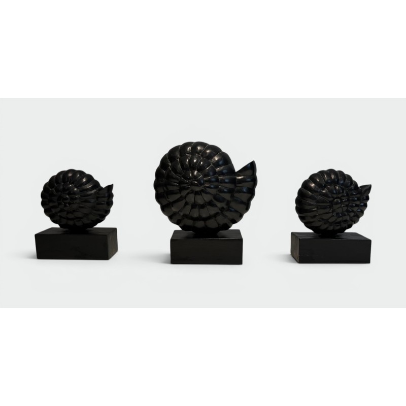 Suite de Trois Nautiles en Bois Sculpté Laqué Noir sur Soc | Maison Barrois