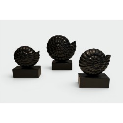 Suite de Trois Nautiles en Bois Sculpté Laqué Noir sur Soc | Maison Barrois