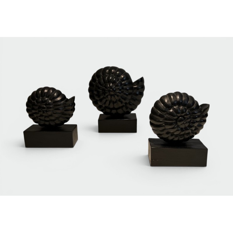 Suite de Trois Nautiles en Bois Sculpté Laqué Noir sur Soc | Maison Barrois
