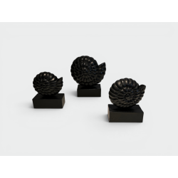 Suite de Trois Nautiles en Bois Sculpté Laqué Noir sur Soc | Maison Barrois