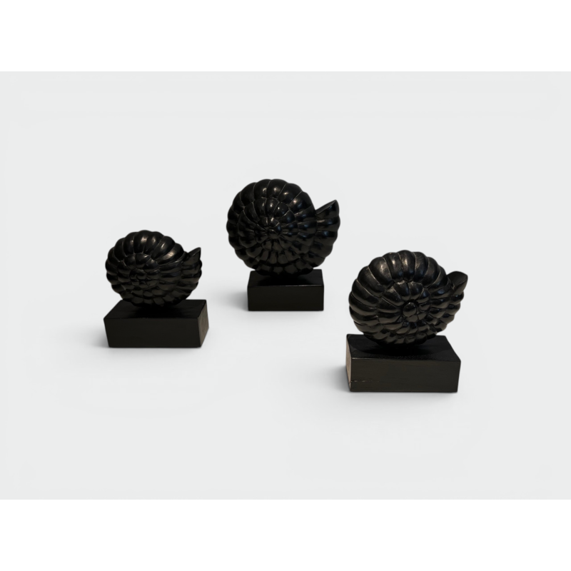 Set of Three Nautilus Shells in Carved Black-Lacquered Woo | Maison Barrois