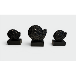 Set of Three Nautilus Shells in Carved Black-Lacquered Woo | Maison Barrois