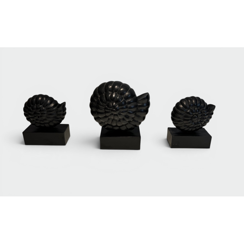 Set of Three Nautilus Shells in Carved Black-Lacquered Woo | Maison Barrois