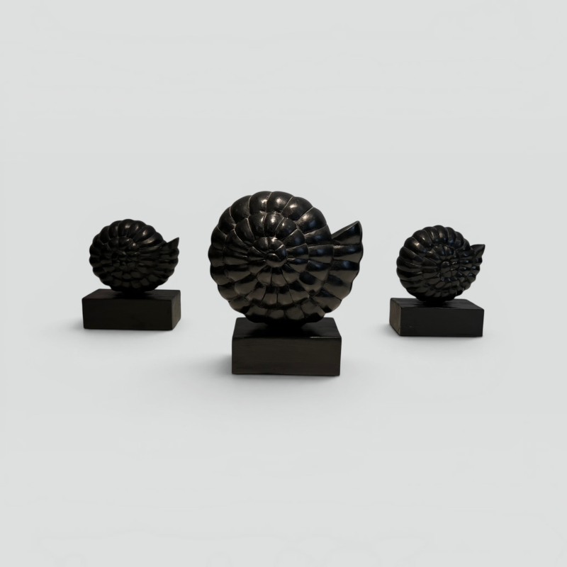 Set of Three Nautilus Shells in Carved Black-Lacquered Woo | Maison Barrois