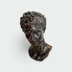 Buste d'Homme Grec à l'Antique en Plâtre Patiné Façon Bron | Maison Barrois