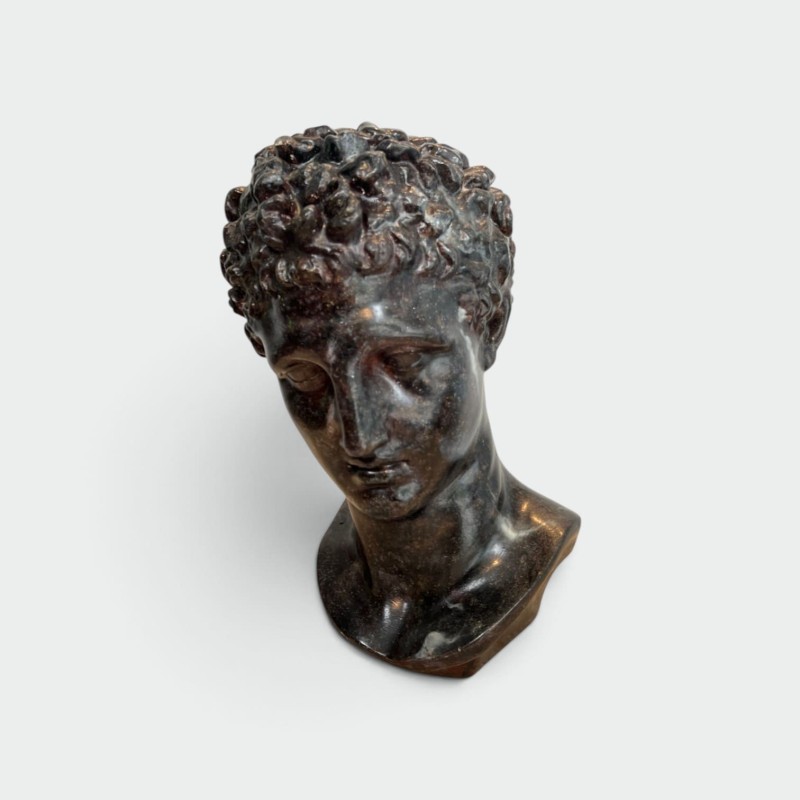 Buste d'Homme Grec à l'Antique en Plâtre Patiné Façon Bron | Maison Barrois