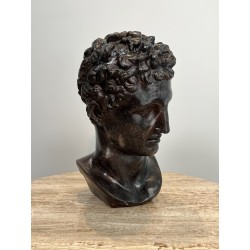 Buste d'Homme Grec à l'Antique en Plâtre Patiné Façon Bron | Maison Barrois