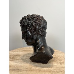 Bust of a Greek Man in the Antique Manner in Patinated Pla | Maison Barrois