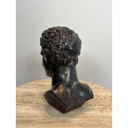 Buste d'Homme Grec à l'Antique en Plâtre Patiné Façon Bron | Maison Barrois