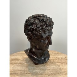 Bust of a Greek Man in the Antique Manner in Patinated Pla | Maison Barrois