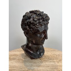 Bust of a Greek Man in the Antique Manner in Patinated Pla | Maison Barrois