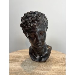 Buste d'Homme Grec à l'Antique en Plâtre Patiné Façon Bron | Maison Barrois